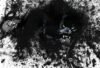 Black Panther Afrofuturism